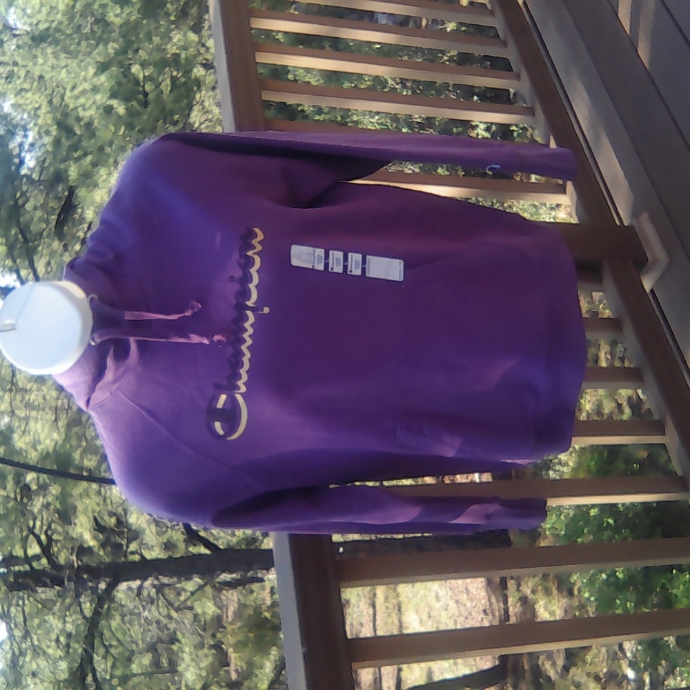 NWT ladies Hoodie by Champion size large